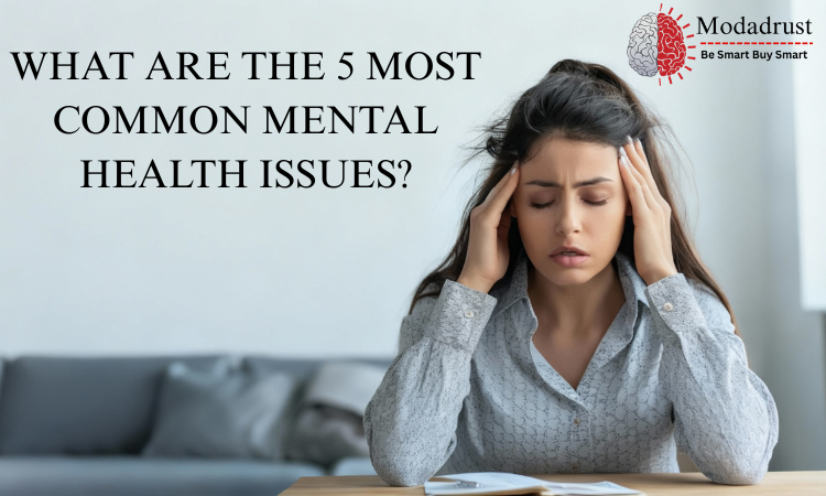 WHAT ARE THE 5 MOST COMMON MENTAL HEALTH ISSUES?